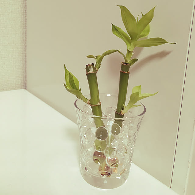 Yukaさんの実例写真