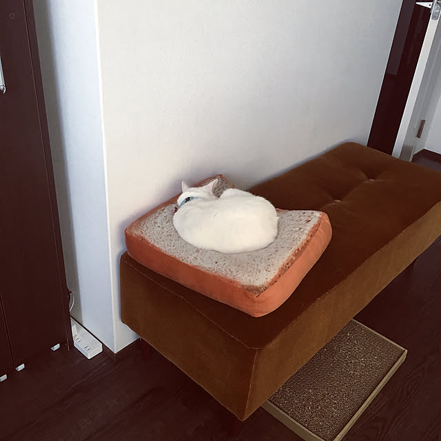 tokotokoさんの実例写真