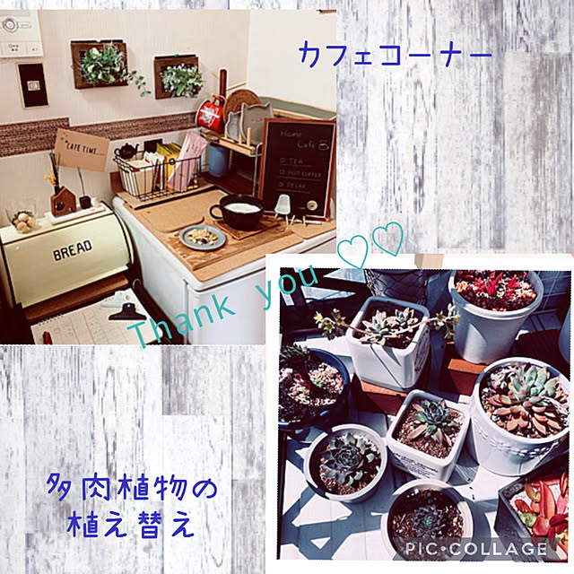 simayaさんの実例写真