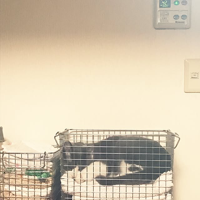 hacchiさんの実例写真