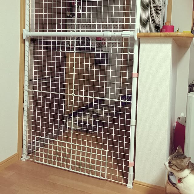 kappaさんの実例写真