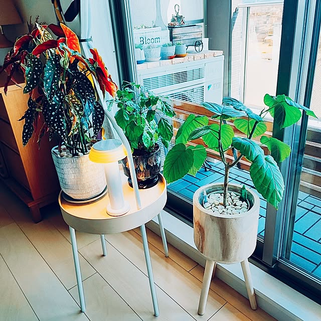 eさんの部屋