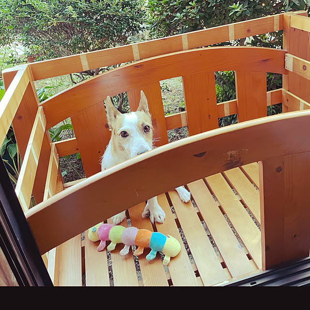 mamamamaiさんの実例写真