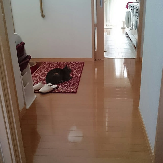 lilyさんの実例写真
