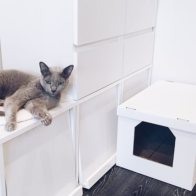 ar._.roomさんの実例写真
