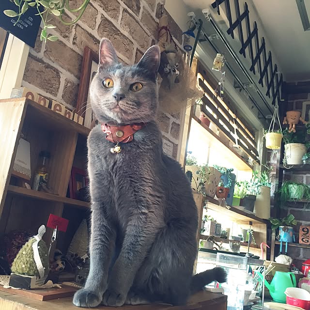 8717さんの実例写真