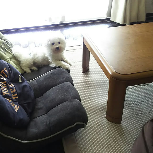fuutaさんの実例写真