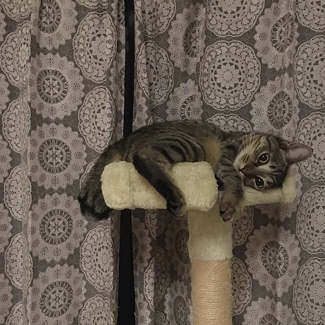 Mさんの実例写真