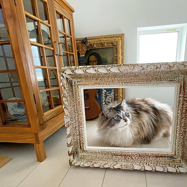 nonononakaさんの実例写真