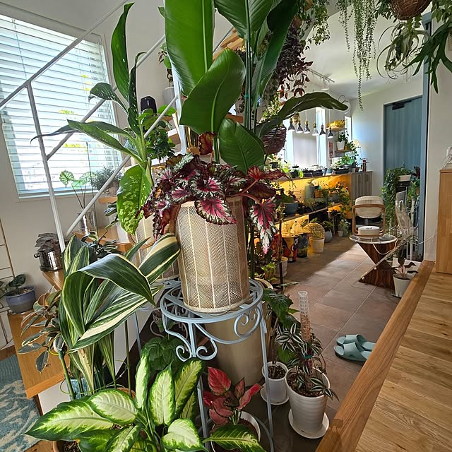 nonbiri_house_さんの部屋