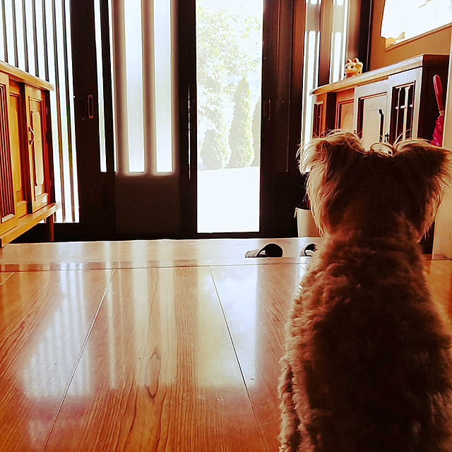 mai_maiさんの実例写真