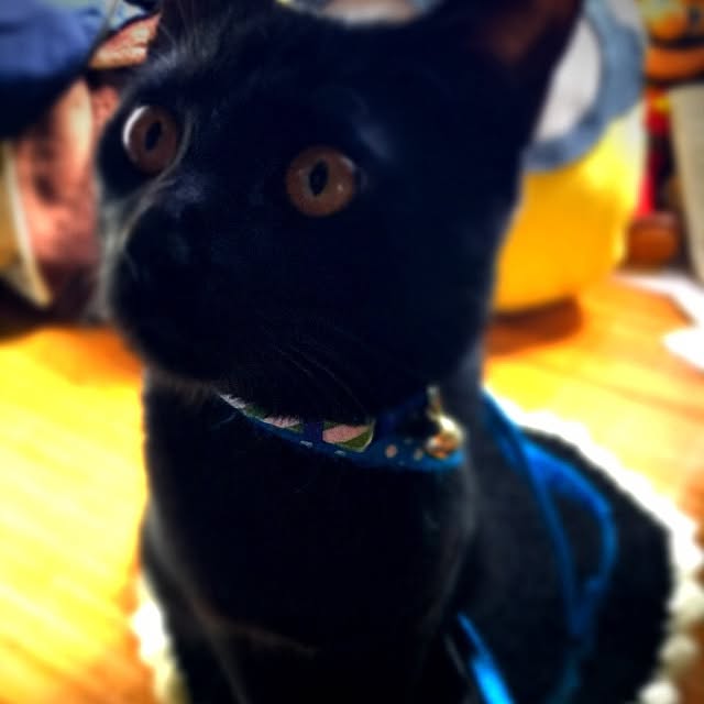 pakuさんの実例写真