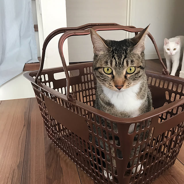 Yuliさんの実例写真
