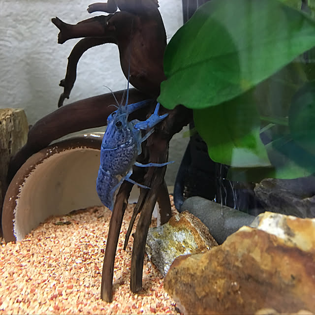 FUさんの実例写真
