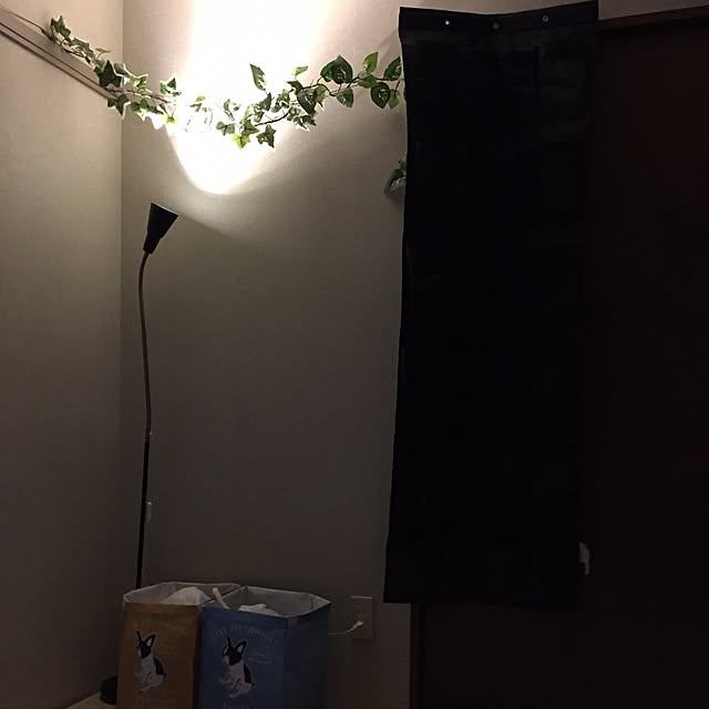 ryoさんの実例写真