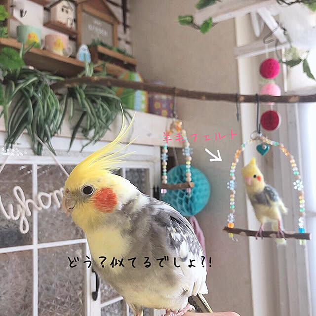 r_6cafeさんの実例写真