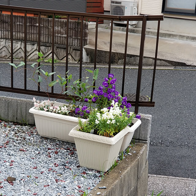 Kanonjujuさんの実例写真