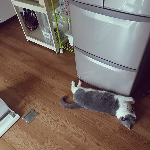 rhuさんの実例写真