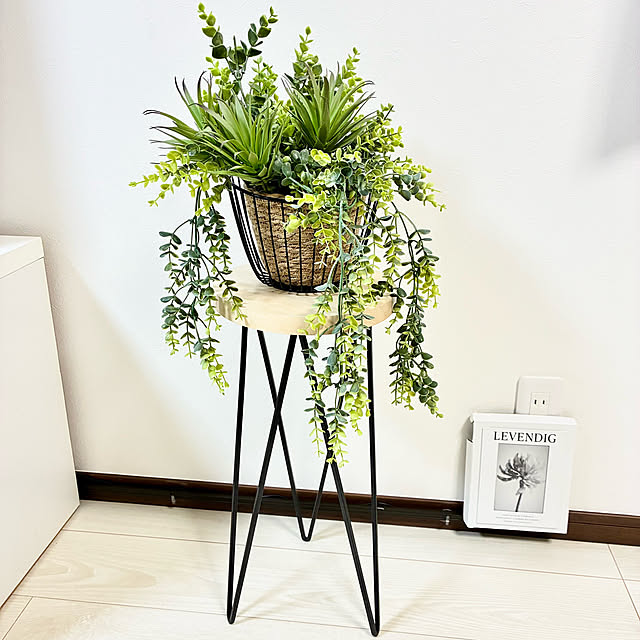 miiさんの実例写真