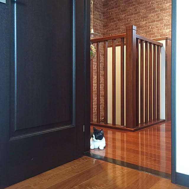 butachanさんの実例写真