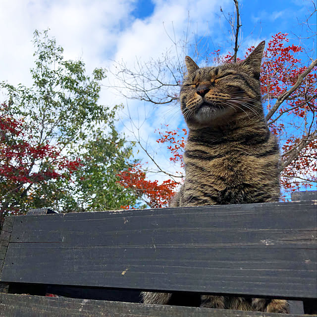 weさんの実例写真