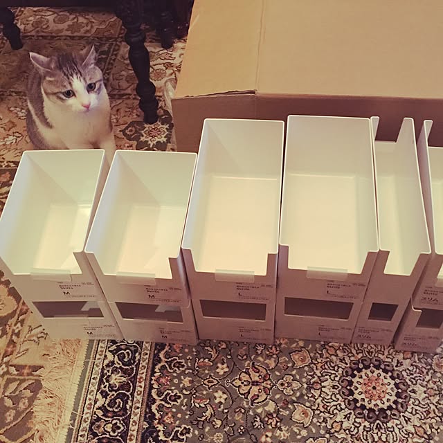 emmyyさんの実例写真