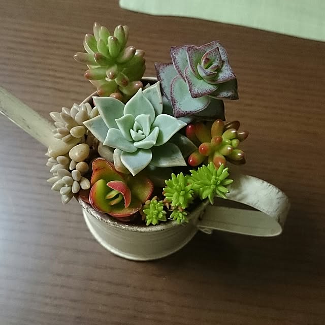 rookier05さんの実例写真