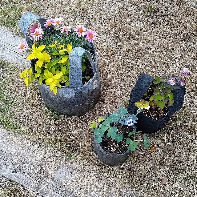 t.yumiさんの実例写真