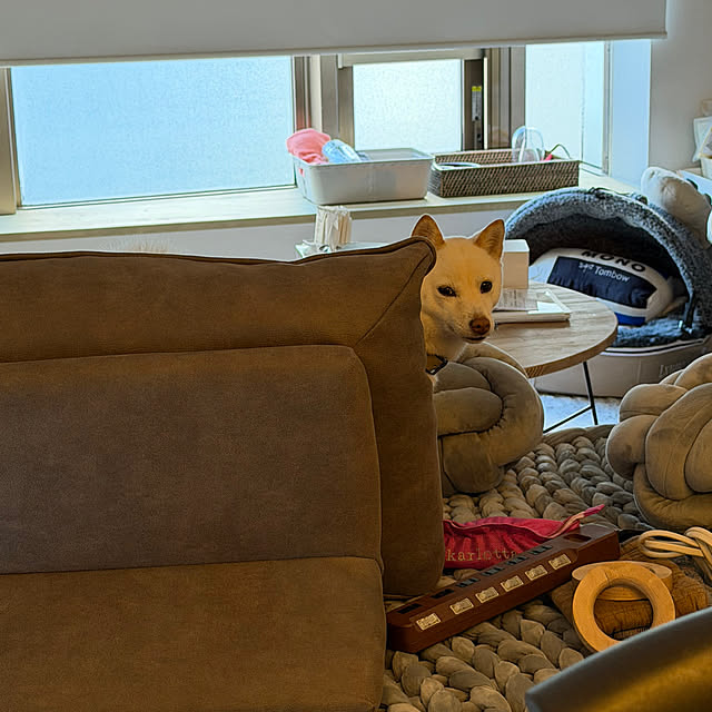 KYokoさんの実例写真