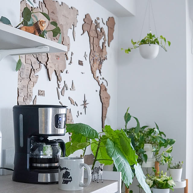 Saraさんの実例写真