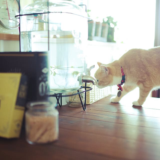 maruさんの実例写真