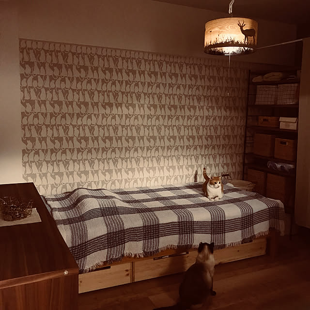 73さんの実例写真