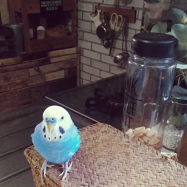 opiopiopiさんの実例写真