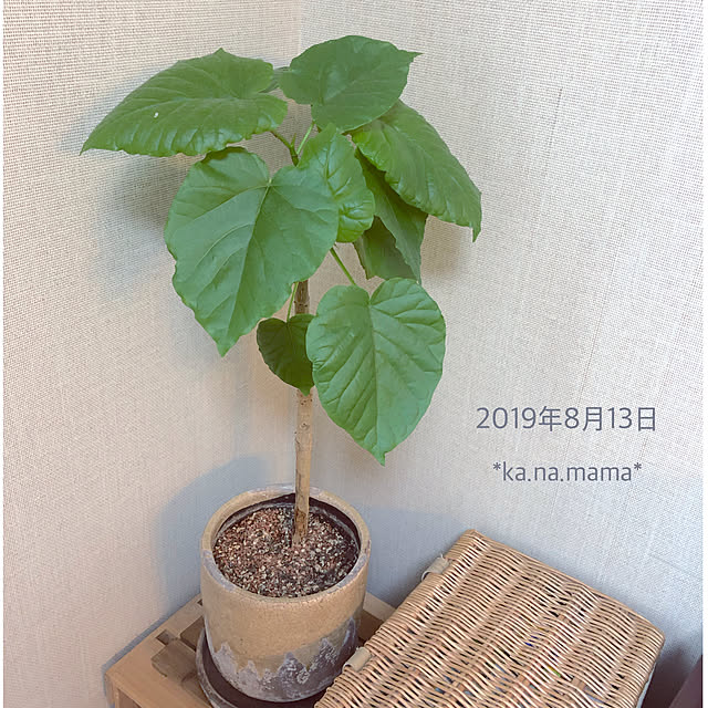 ka.na.mamaさんの実例写真