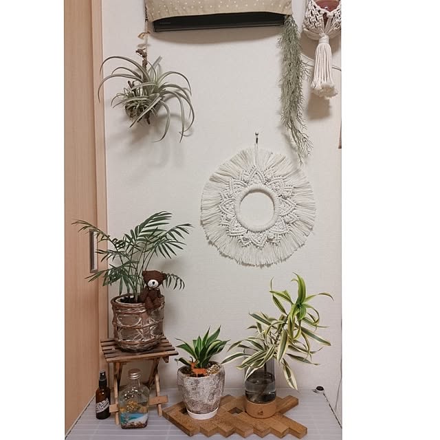 akiwaka-roomさんの部屋