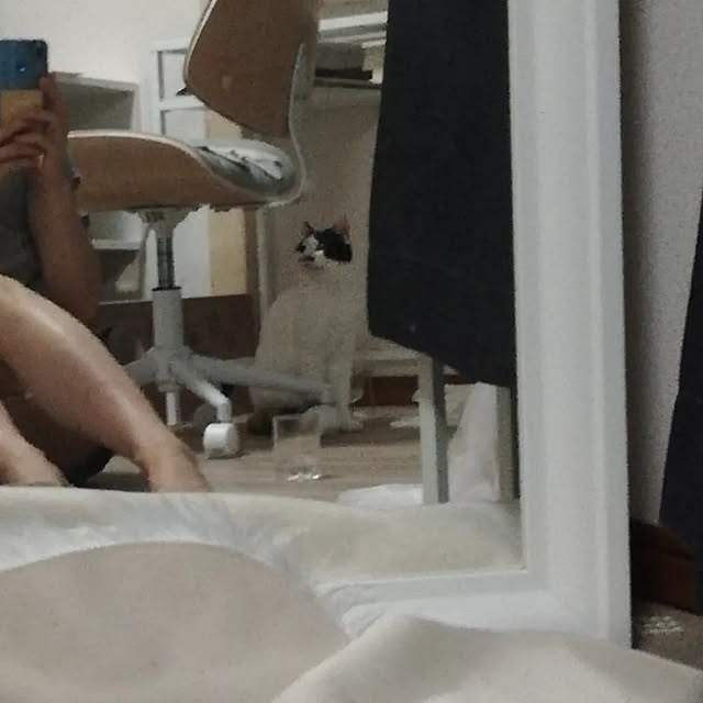 chocoさんの実例写真