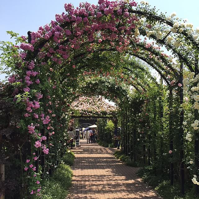 greenroseさんの実例写真