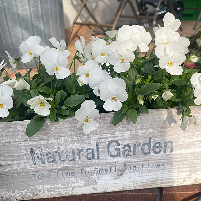 chikaさんの部屋