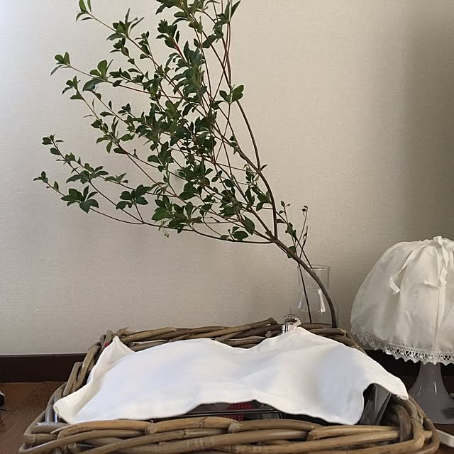 ri----pyonさんの実例写真