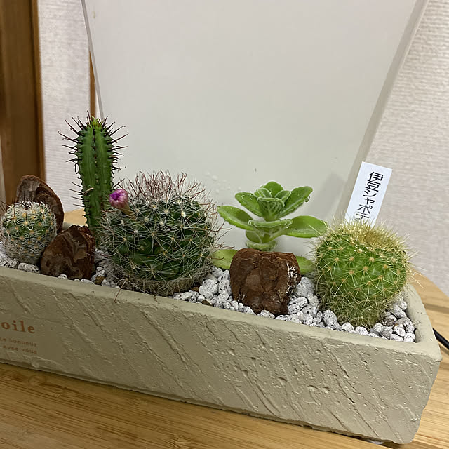 Rieさんの実例写真