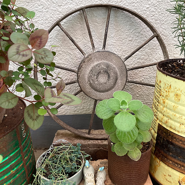 heidiさんの部屋