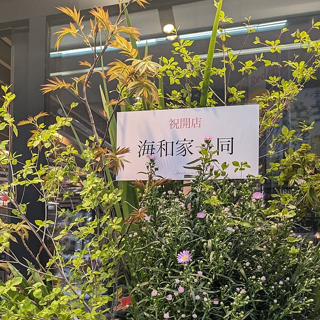 monnさんの部屋