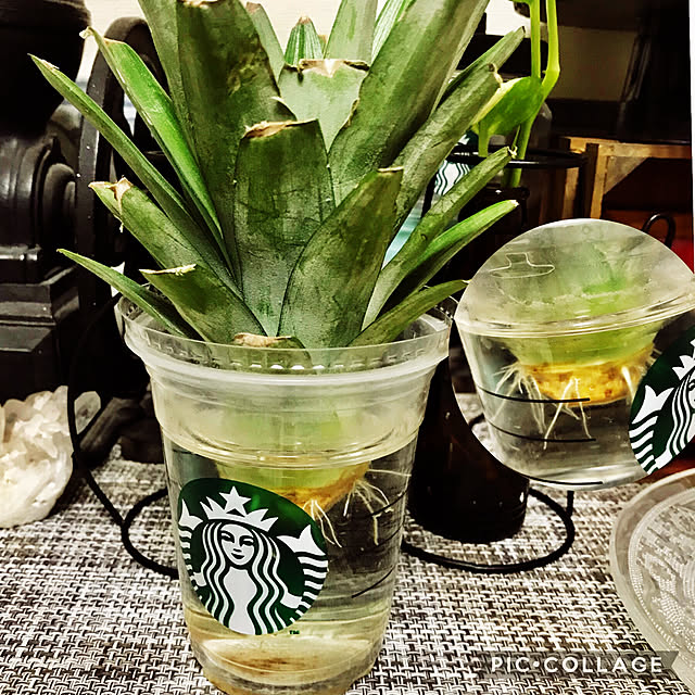 Mizueさんの実例写真
