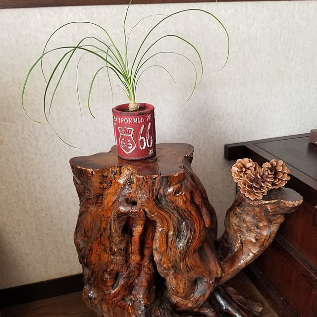 midoriさんの実例写真