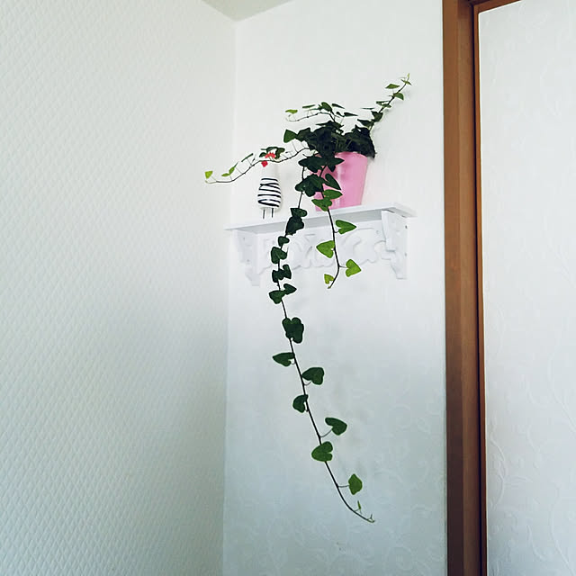 rumaさんの実例写真