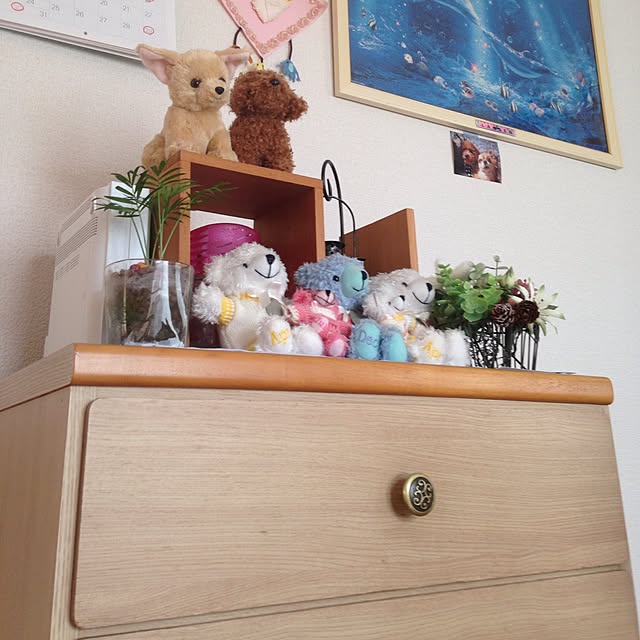 実例写真