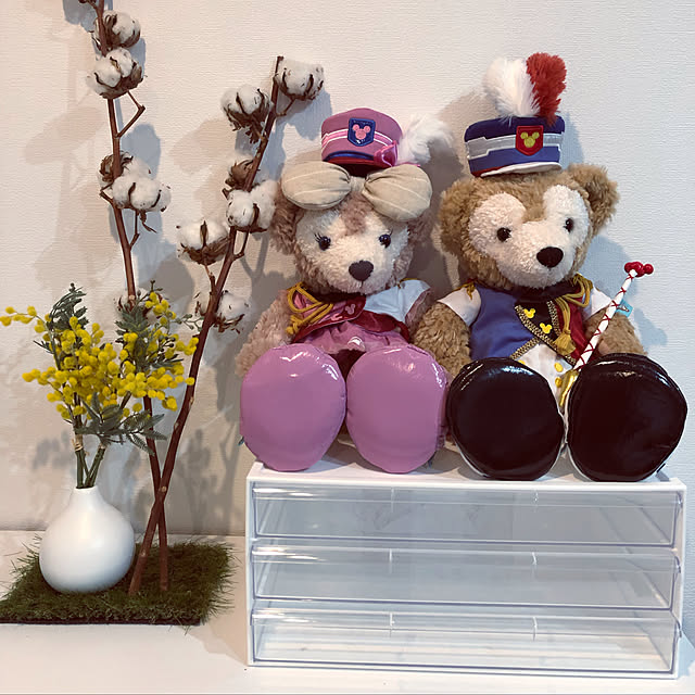 ikebeiさんの実例写真