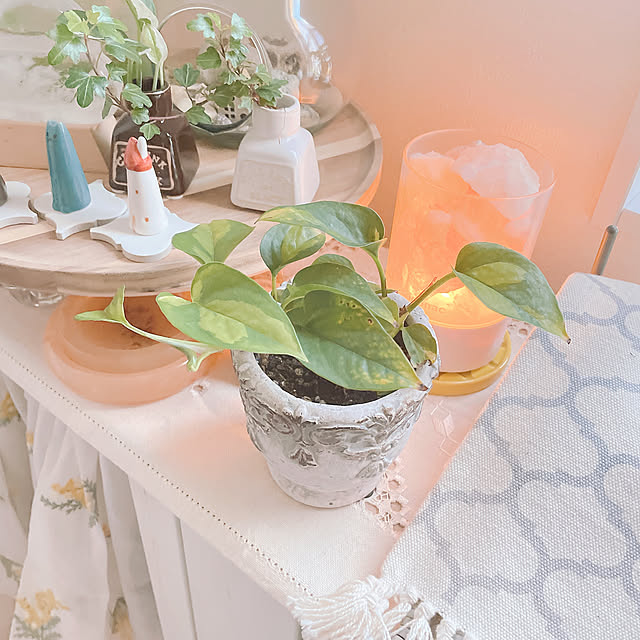 akiko-ovさんの部屋