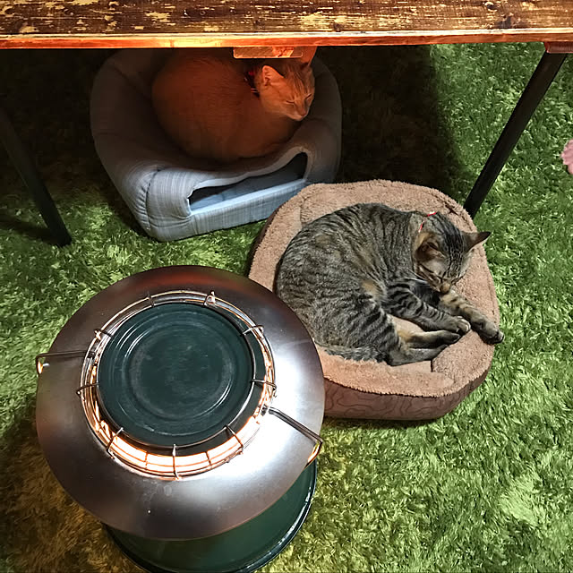 mikan161さんの実例写真