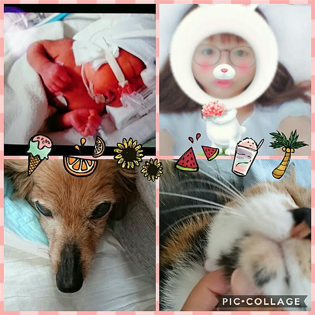 ayamamaさんの実例写真